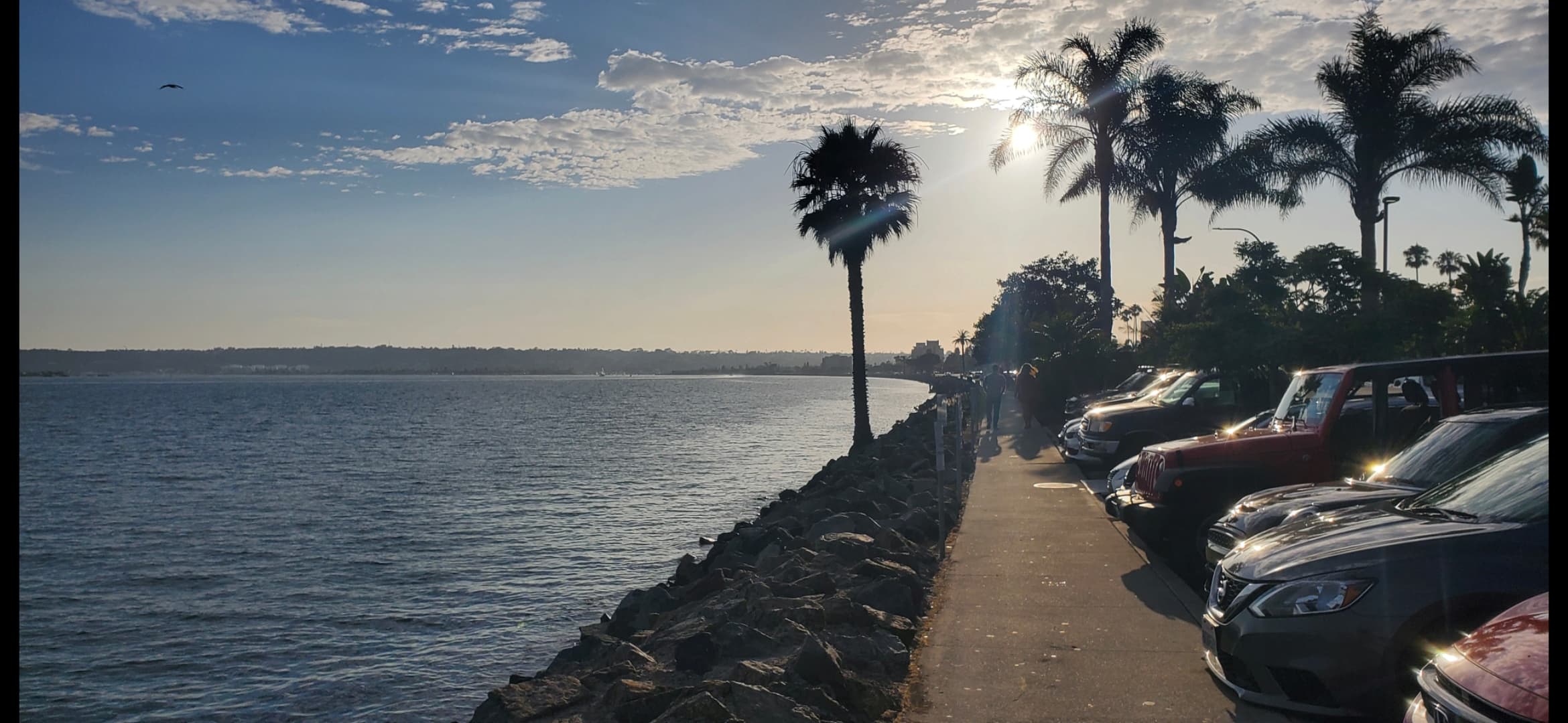 Waterfront road at sunset beneath palm trees